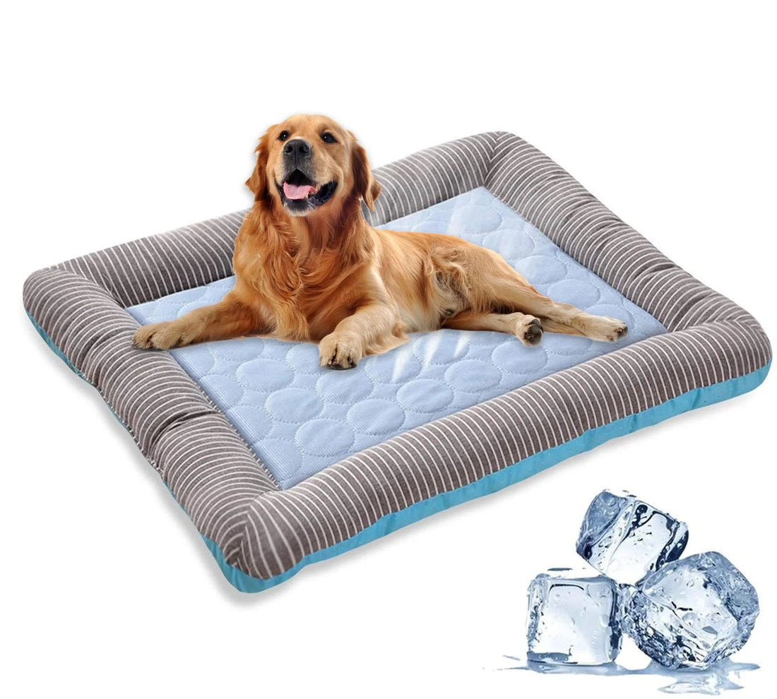 Kühlbett für Hunde und Katzen aus Eisseide mit gepolstertem Rand – 45 × 35 oder 55 × 45 cm, rutschfest, maschinenwaschbar, Blau oder Rosa