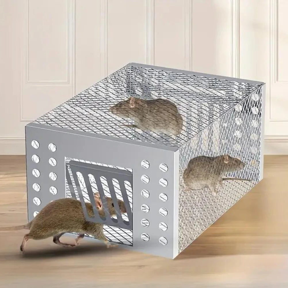 Lebendfalle als Käfig aus Eisen mit Schiebetür für Mäuse in Küche, Garage und Garten – ca. 23 × 16 × 11 cm, Einwegeingang, bissfest