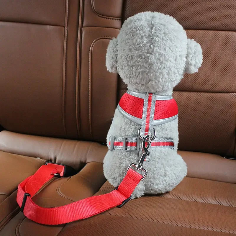 Verstellbarer Sicherheitsgurt für Hunde und Katzen aus Nylon für Autofahrten und Reisen – 38–69 cm, für Halsband oder Geschirr, in 6 Farben