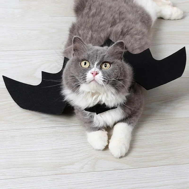 Fledermausflügel aus Filz als Halloween-Kostüm für Katzen und kleine Hunde für Party und Fotos – 45 × 16 cm, Halsumfang 24 bis 36 cm, Schwarz