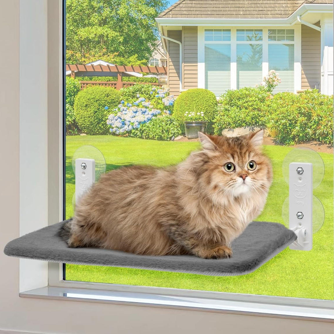 Katzen-Fensterliege mit Saugnäpfen und Wendebezug aus Plüsch und Mesh für Fenster und Vogelbeobachtung – klappbar, bis 13,6 kg, 3 Größen, 3 Farben