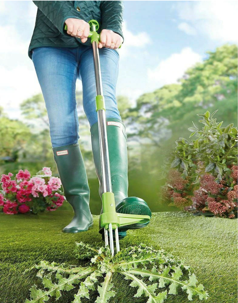 Unkrautstecher mit Stiel und 3 Krallen für Rasen, Beet und Garten – Arbeiten im Stehen, 91 × 20 cm, Federmechanik, Grün und Silber