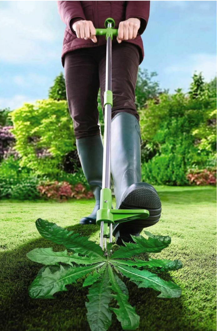 Unkrautstecher mit Stiel und 3 Krallen für Rasen, Beet und Garten – Arbeiten im Stehen, 91 × 20 cm, Federmechanik, Grün und Silber