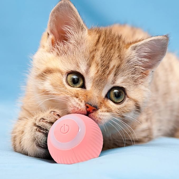Selbstrollender Katzenball mit LED-Licht für Wohnungskatzen und glatte Böden – weicht Hindernissen aus, per USB aufladbar, Pink oder Grün