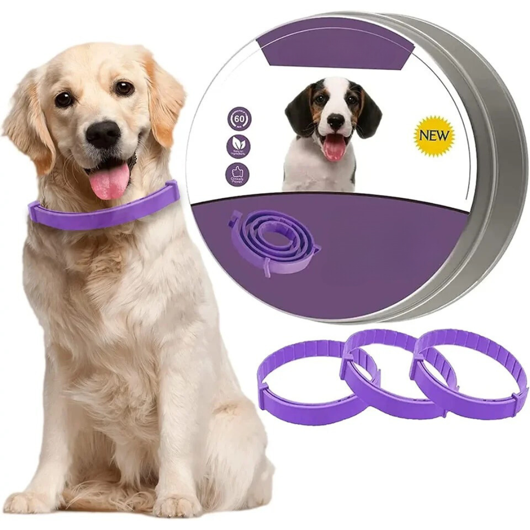 Pheromon-Halsband mit ätherischen Ölen für Hunde und Katzen bei Reisen, Gewitter und Tierarztbesuch – wasserfest, verstellbar, zum Kürzen