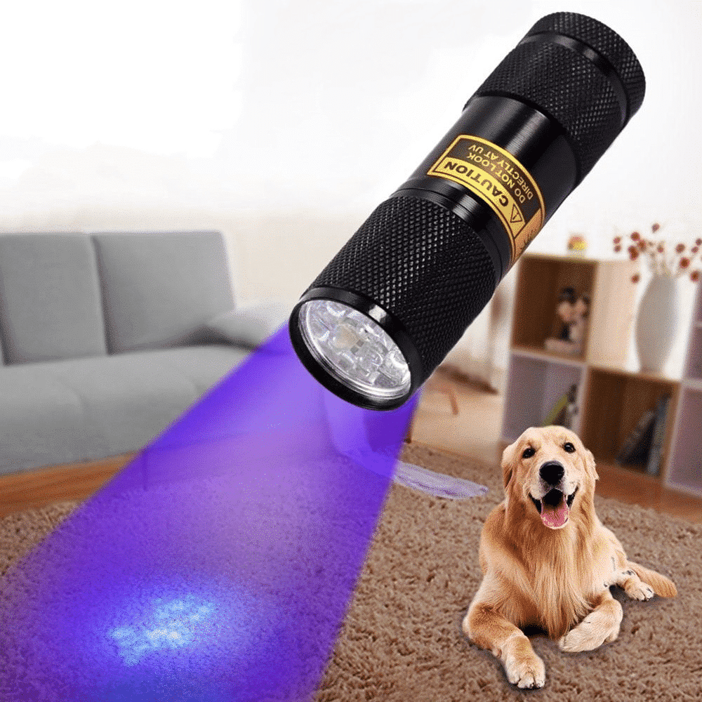 UV-Taschenlampe mit 21 LEDs zum Aufspüren von Flecken und Prüfen von Geldscheinen – Taschenformat, ca. 9,4 cm, Ein-Knopf-Bedienung, Batterie
