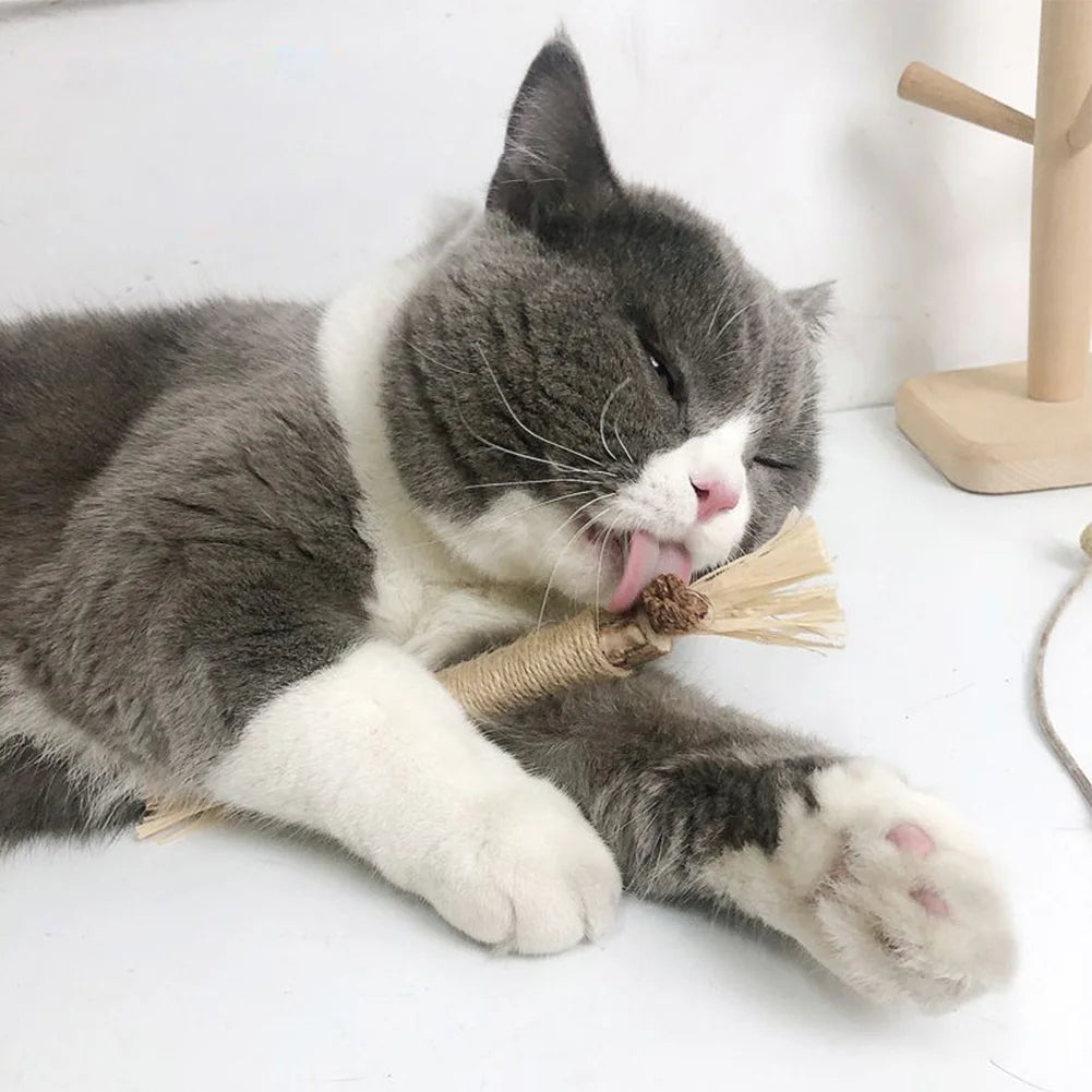 Kauspielzeug-Set für Katzen mit 3 Silvervine-Sticks, Katzenminze und Jutekordel für Kitten und erwachsene Katzen – Naturmaterialien, Bast, Wermut