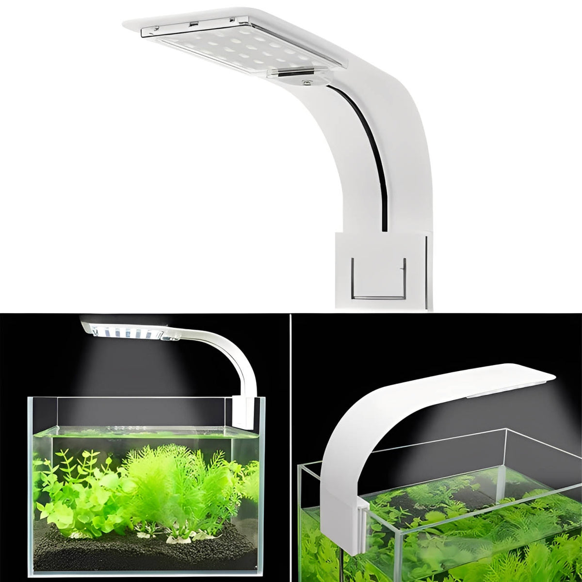 Extraflache LED-Aquariumleuchte zum Anklemmen für Fische und Wasserpflanzen – nur 3 mm dünn, IPX7, für Glas bis 5 mm, Blau-Weiß oder Mehrfarbig