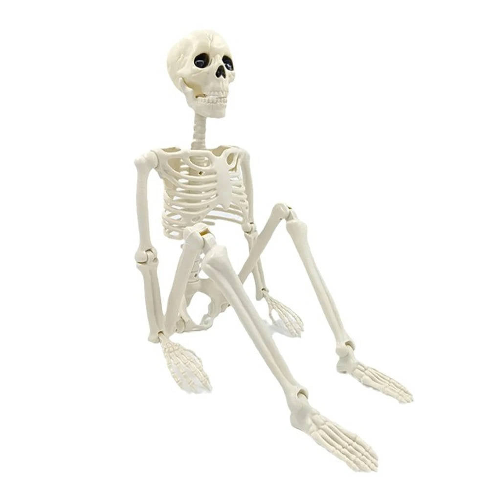Bewegliches Halloween-Skelett aus Kunststoff zum Aufhängen für Garten, Veranda und Party – ca. 40 cm, anatomische Form, mit Aufhängeschlaufe