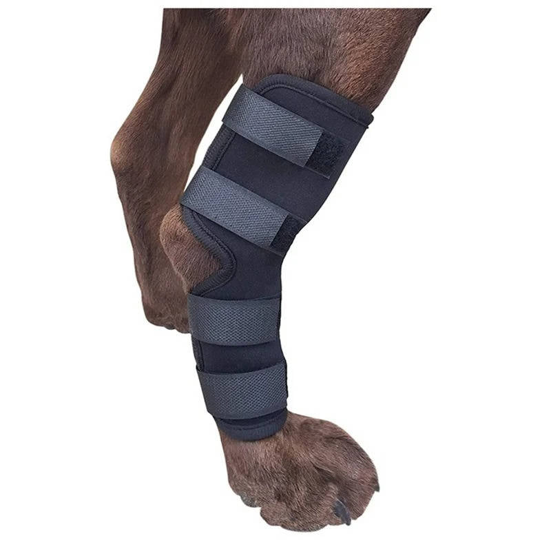 Stützende Beinbandage für Hunde aus Neopren und Nylon für das Sprunggelenk – Größe S bis XL, Klettverschluss, 4 Reflexstreifen