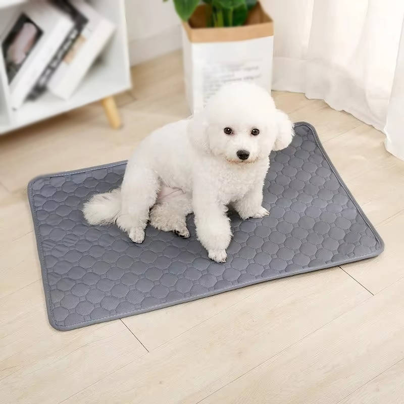 Hunde-Trainingsunterlage mit 4 Schichten und saugstarkem Baumwollkern für Welpen und Wohnung – 70 × 50 oder 100 × 70 cm, TPU-Unterseite, waschbar