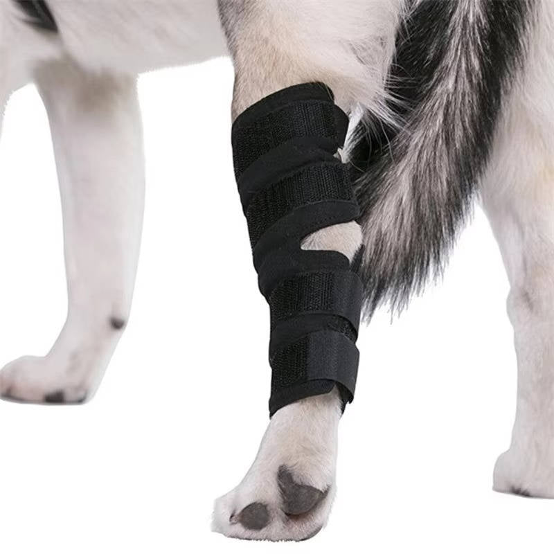 Stützende Beinbandage für Hunde aus Neopren und Nylon für das Sprunggelenk – Größe S bis XL, Klettverschluss, 4 Reflexstreifen