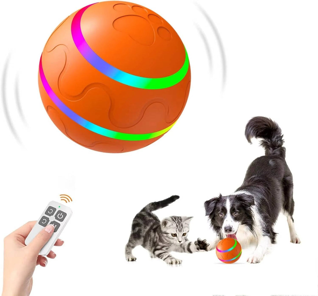 Interaktiver Hundeball mit Fernbedienung und LED-Licht für drinnen und draußen – USB-Akku, 2 Modi, IP54, Reichweite 30 m, 3 Farben