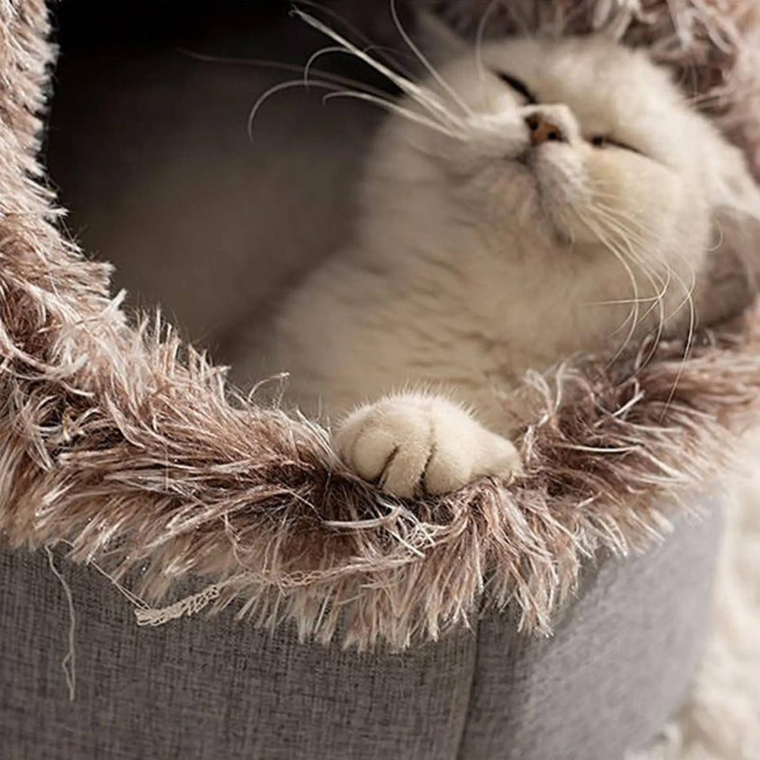 Warme Katzenhöhle mit Plüschrand als Rückzugsort für Wohnzimmer und Schlafzimmer – geschlossenes Katzenbett mit Griff, Braun oder Grau, M oder L