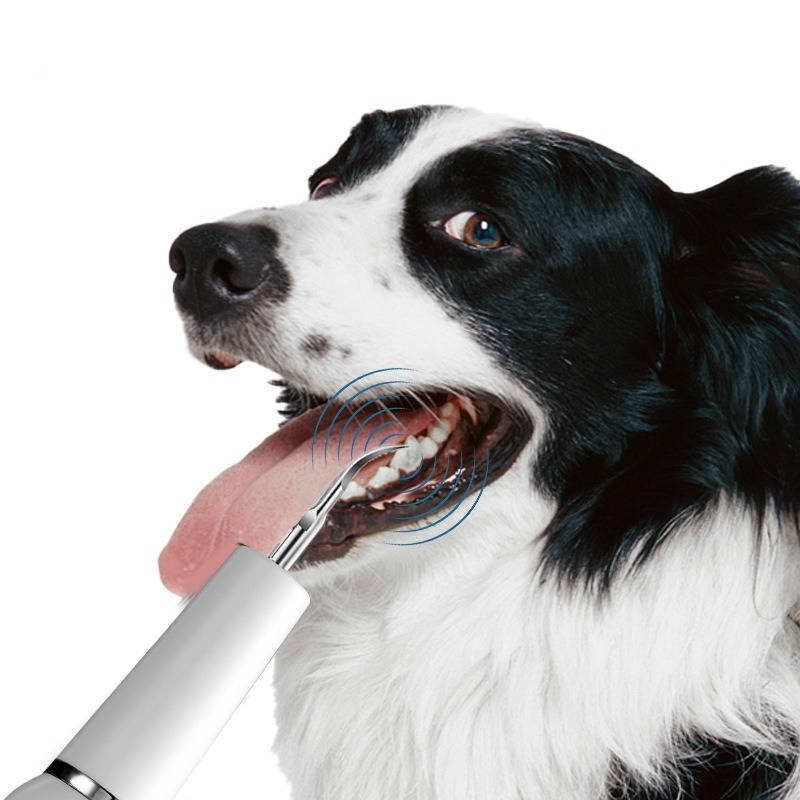 Ultraschall-Zahnreinigungsgerät für Hunde und Katzen mit LED-Licht für die Zahnpflege zu Hause – 32 bis 40 kHz, Akku, 10-Min.-Abschaltung