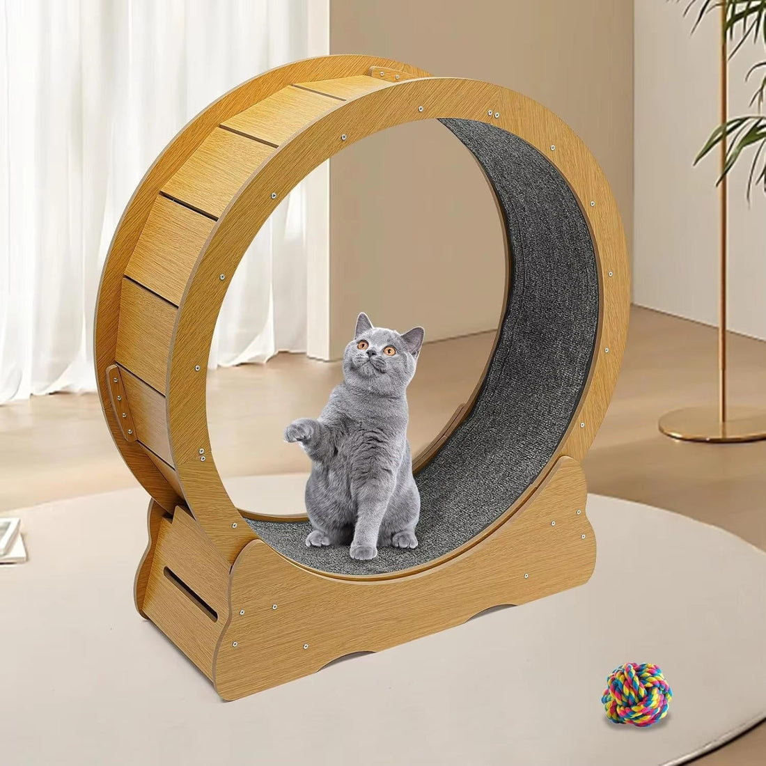 Laufrad für Katzen mit gepolsterter Lauffläche für Bewegung drinnen – ca. 81 cm Durchmesser, 28,5 cm breit, bis 50 kg, leise, Schwarz oder Braun