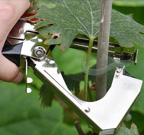 Bindezange aus Edelstahl zum Anbinden von Kletterpflanzen an Stäbe und Spanndrähte – für Tomaten, Weinreben, Gurken, Paprika und Rosen, mit Klinge
