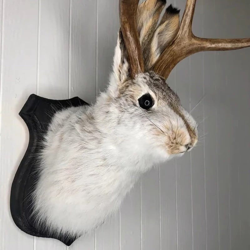 Jackalope-Wanddeko als Hase mit Geweih auf Wandplakette für Wohnzimmer und Arbeitszimmer – ca. 20 cm hoch, mit Aufhängehaken, rustikaler Trophäen-Stil
