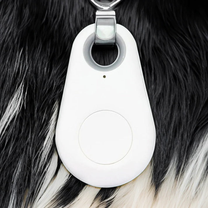 Bluetooth-Tracker für Hunde und Katzen zum Befestigen am Halsband – App-Ortung, Signalton, Reichweite 10 m, wasserdicht, 5 Farben
