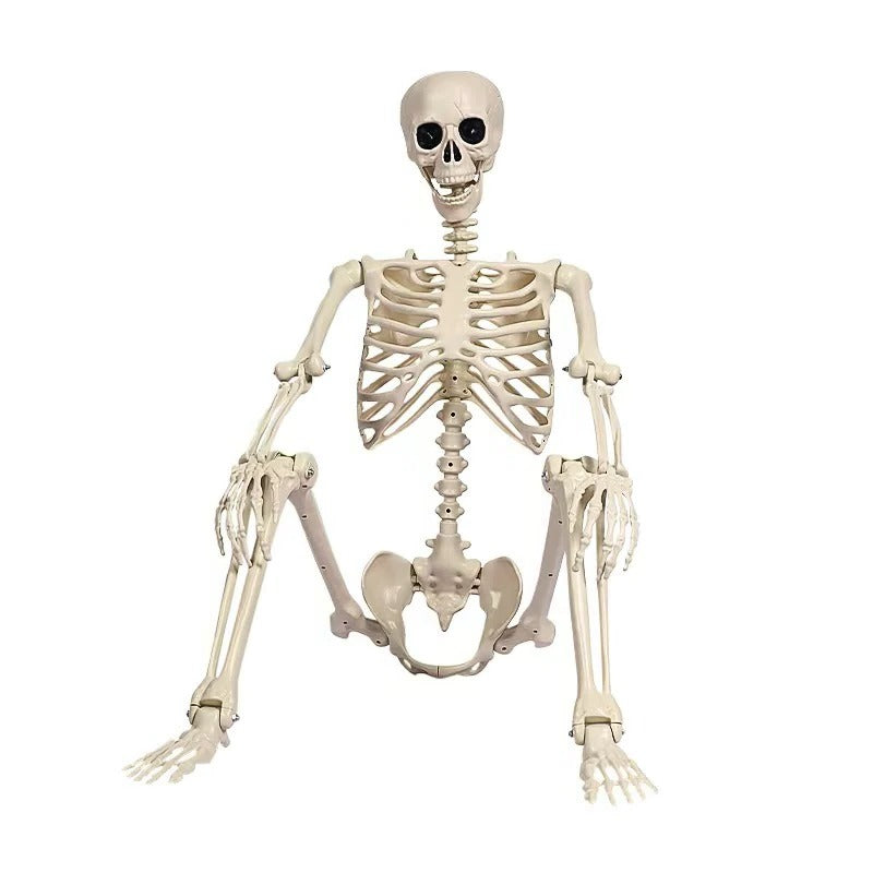 Lebensgroßes Halloween-Skelett mit beweglichen Gelenken für Garten, Geisterhaus und Party – ca. 170 cm, ca. 2 kg, drinnen und draußen