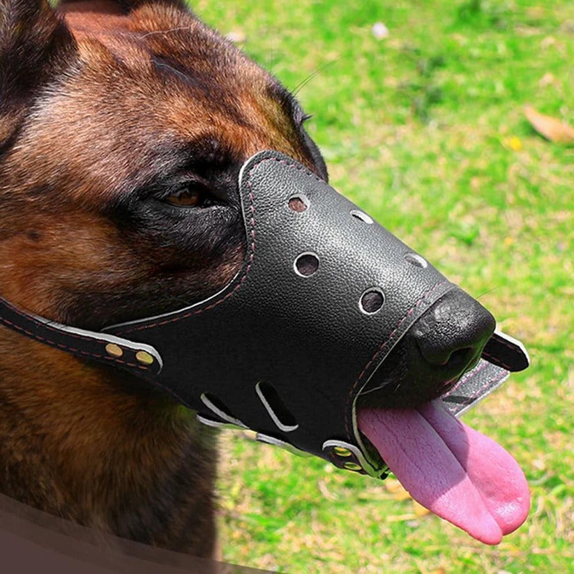 Atmungsaktiver Maulkorb für Hunde für Tierarzt, Bahnfahrt und Hundebegegnungen – Beißschutz, Hecheln möglich, schnell angelegt, Größe S bis XL