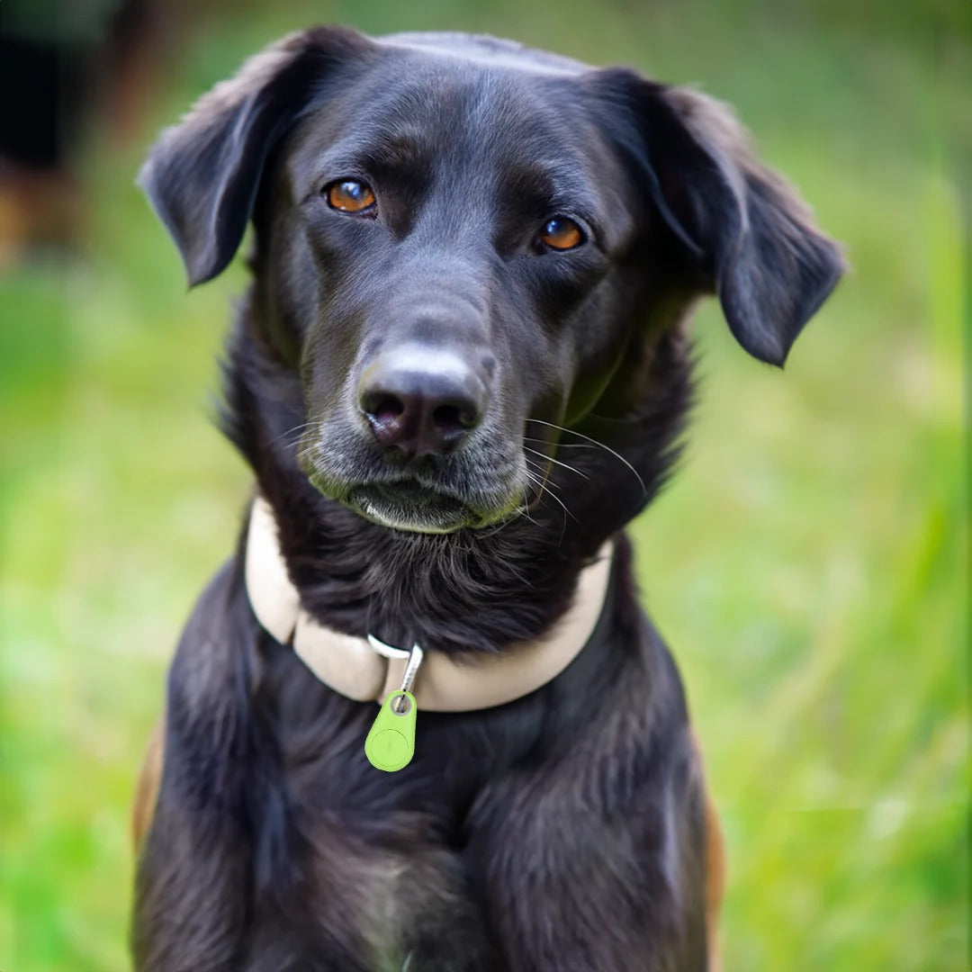 Bluetooth-Tracker für Hunde und Katzen zum Befestigen am Halsband – App-Ortung, Signalton, Reichweite 10 m, wasserdicht, 5 Farben