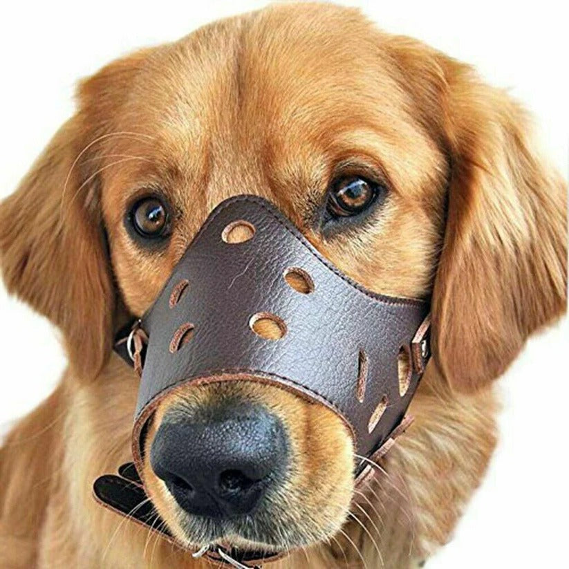 Atmungsaktiver Maulkorb für Hunde für Tierarzt, Bahnfahrt und Hundebegegnungen – Beißschutz, Hecheln möglich, schnell angelegt, Größe S bis XL