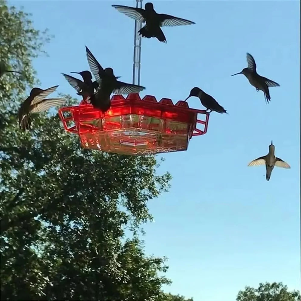 Kolibri-Futterspender zum Aufhängen mit 30 Futteröffnungen für Garten, Balkon und Terrasse – Ameisenschutz, Sitzstange, Rot, Blau oder Lila