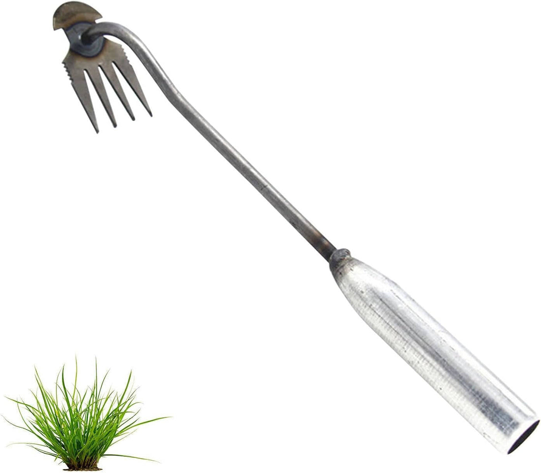 Unkrautjäter aus Manganstahl mit 4 Zinken und Sichelform für Beete, Fugen und Pflanzkübel – verlängerter Griff, poliert, 29 oder 50 cm