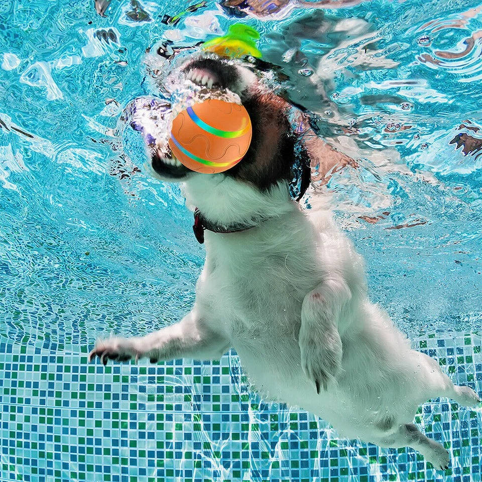Interaktiver Hundeball mit Fernbedienung und LED-Licht für drinnen und draußen – USB-Akku, 2 Modi, IP54, Reichweite 30 m, 3 Farben