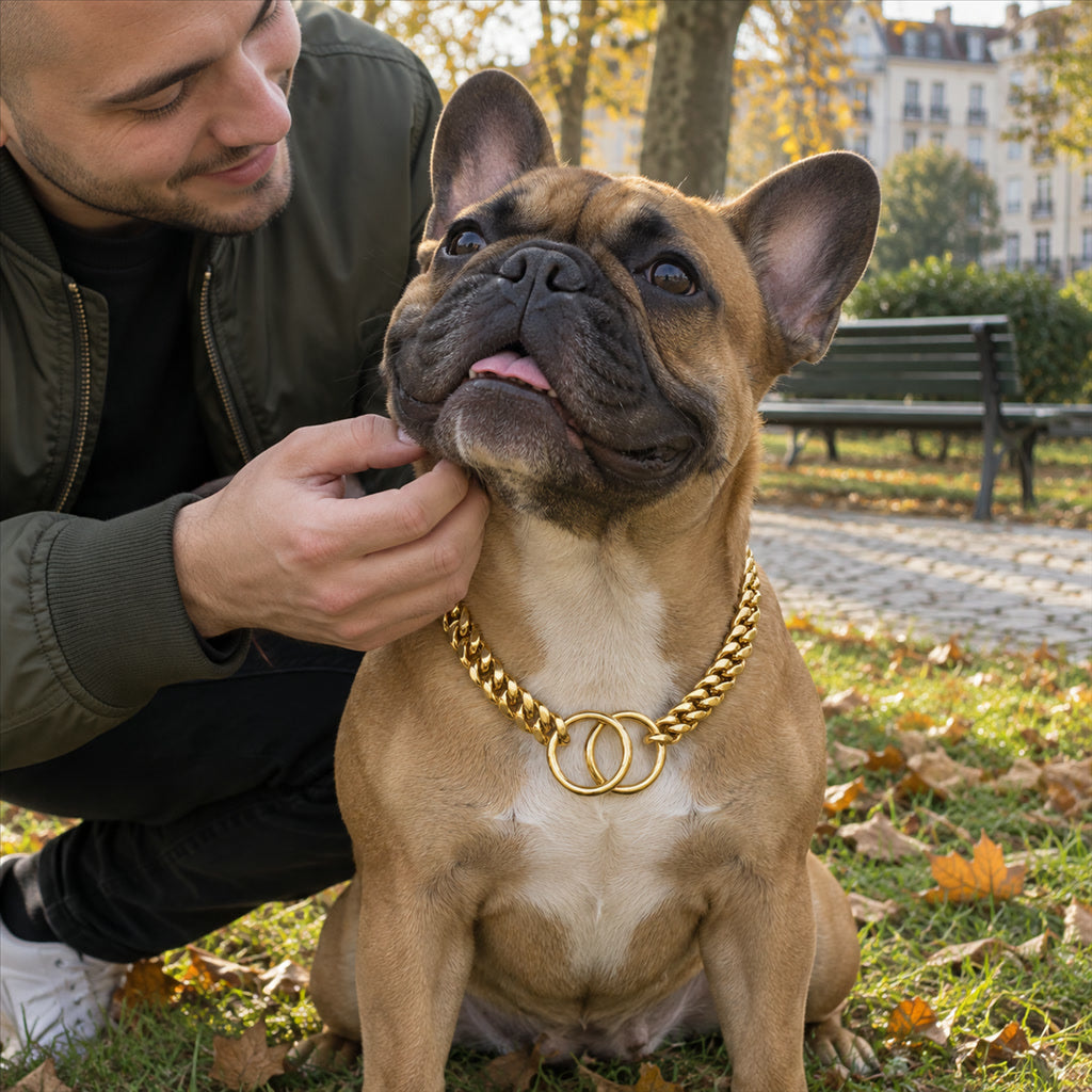 Hundehalsband als Panzerkette mit zwei Endringen für Hunde, die Ketten zerbeißen – hochglanzpoliert, nicht verstellbar, 25 bis 41 cm, 4 Farben