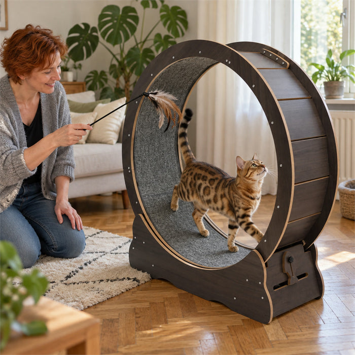 Laufrad für Katzen mit gepolsterter Lauffläche für Bewegung drinnen – ca. 81 cm Durchmesser, 28,5 cm breit, bis 50 kg, leise, Schwarz oder Braun
