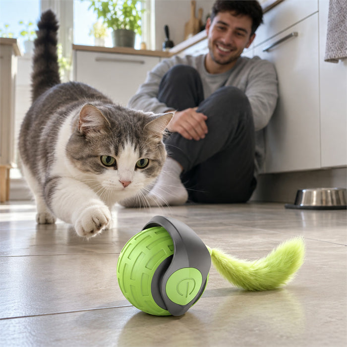 Selbstrollender Katzenball mit Anhänger, Berührungsstart und Hindernissensor für Wohnungskatzen – 2 Stufen, 90 Min. Laufzeit, USB-C, 3 Farben
