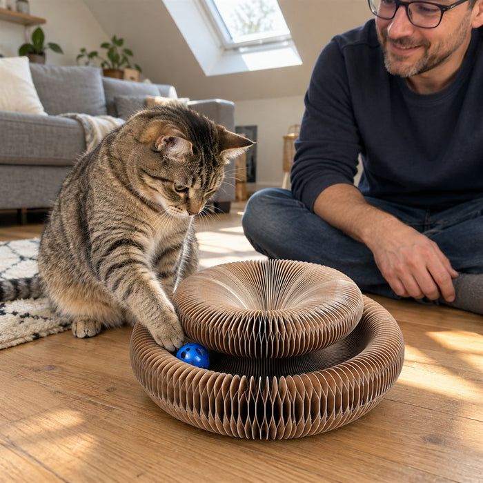 Faltbarer Katzen-Kratzring aus Wellpappe mit Glöckchenball für Wohnungskatzen – Ziehharmonika-Form, in mehrere Formen stellbar