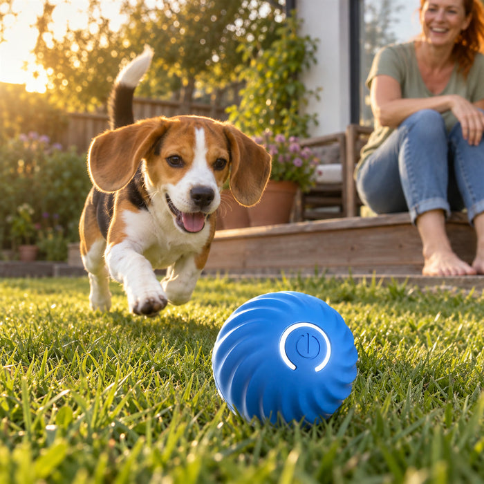 Interaktiver selbstrollender Hundeball für Beschäftigung drinnen und im Garten – bewegt sich selbst, in Blau oder Orange