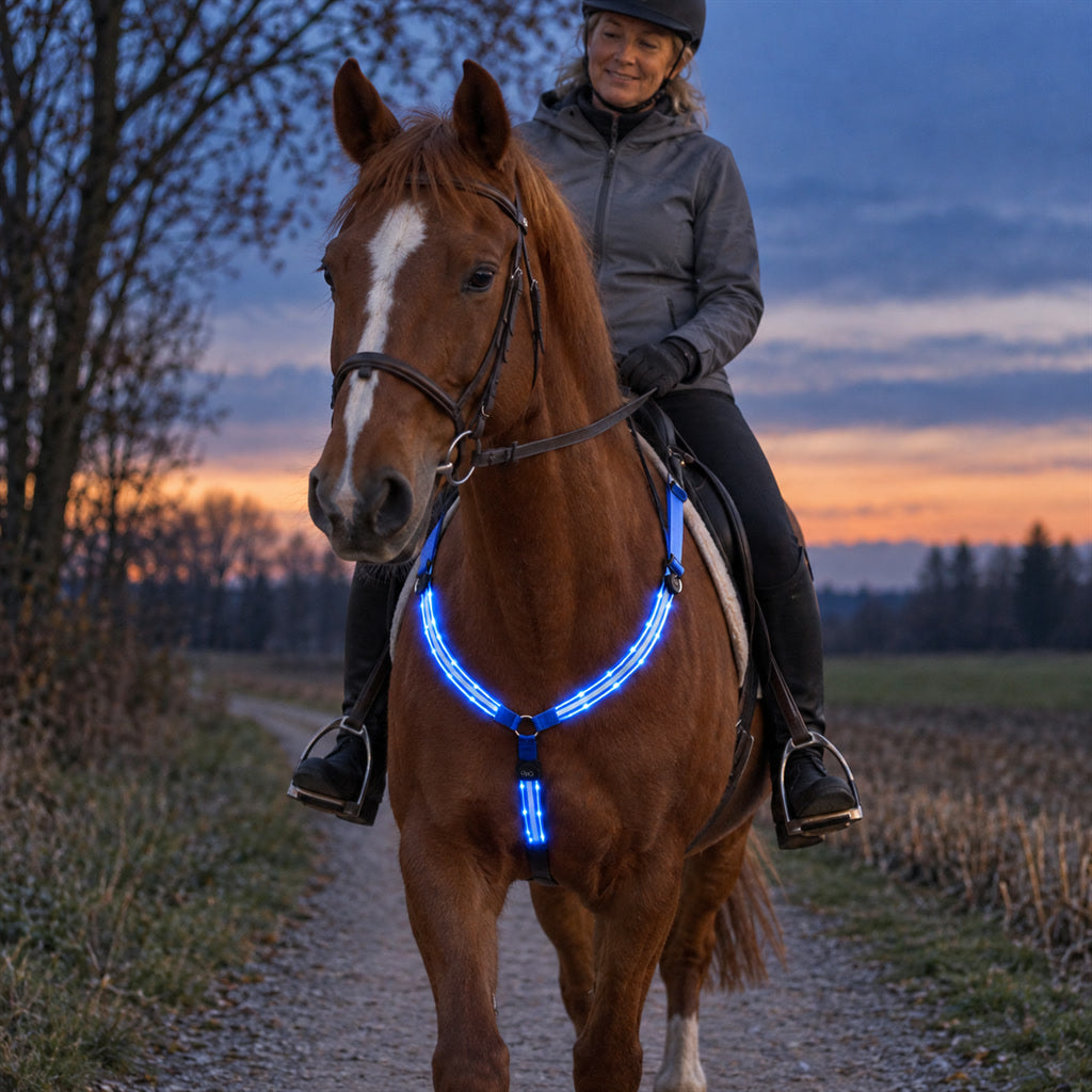 LED-Vorderzeug für Pferde aus robustem Nylon für Ausritte in der Dämmerung – 3 Leuchtmodi, USB-Akku, verstellbar, wassergeschützt, 3 Farben