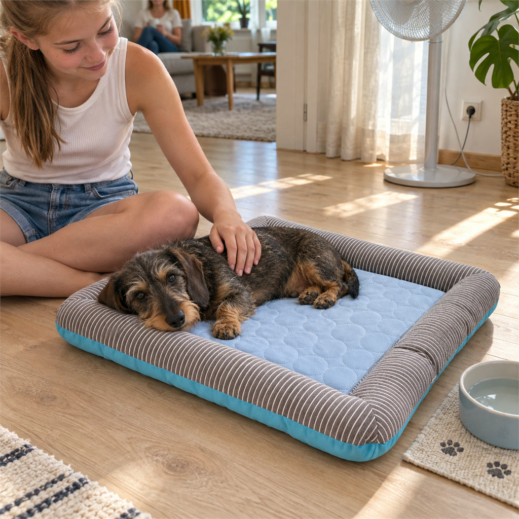 Kühlbett für Hunde und Katzen aus Eisseide mit gepolstertem Rand – 45 × 35 oder 55 × 45 cm, rutschfest, maschinenwaschbar, Blau oder Rosa