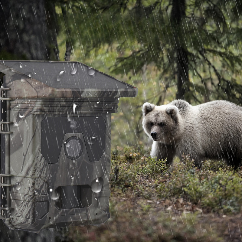 Solar-Wildkamera mit 4K-Video und Nachtsicht für Wald, Garten und Bauernhof – 50 MP, 0,3 s Auslösung, bis 256 GB, IP65, 9 × 10 × 15 cm